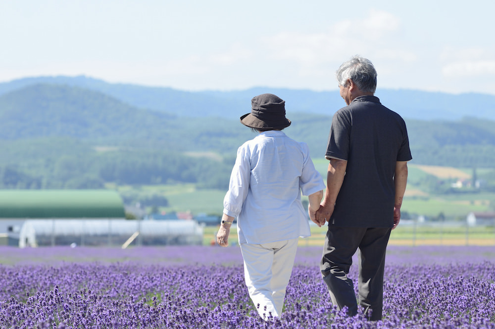 A couple walking hand in hand walking through the lavender garden in Hokkaido for vacation photo