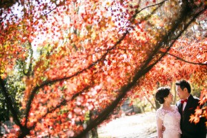 A couple smiling at each other for their pre-wedding photo in a beautiful Kyoto botanical garden in Autumn