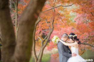 A couple in love posing in the park in Kyoto in Autumn with woman wearing wedding dress for pre-wedding photo