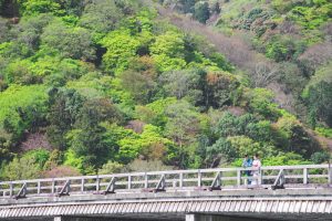 A couple posing at Togetsukyo bridge in Arashiyama, Kyoto wearing kimono