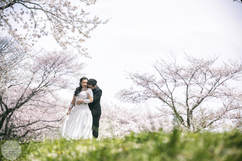 A man hugging his loved one in Showa Memorial park during cherry blossom seasons