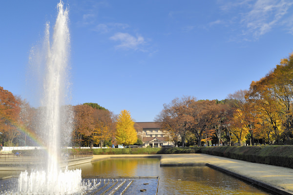 Ueno park water fountain in Autumn