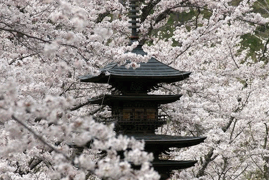 Shokoji Temple in Tateshina, Nagano