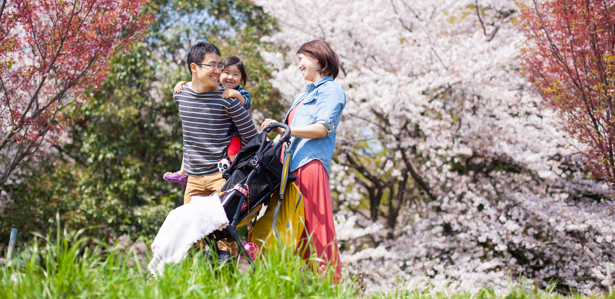 Family vacation photo of a family strolling along the river canal during cherry blossom season in Japan