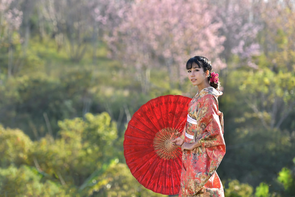 A girl wearing kimono with umbrella with cherry blossom in the back ground