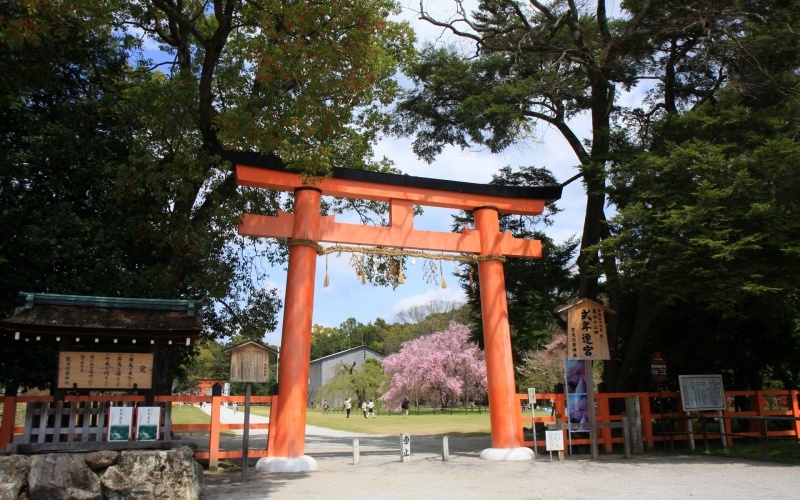 2016 Kamigamo Shrine (Sakura)