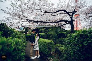 Pre-wedding photo with Tokyo tower during cherry blossom season