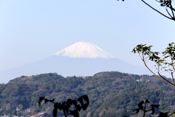 fuji myohoji