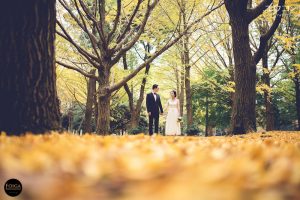 Pre-wedding photo by Daniel during Autumn with yellow ginkyo leaves in Daniel Ng Yew Kong