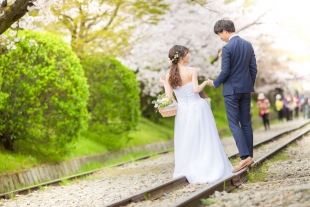 Pre-wedding Kyoto Cherry Blossom