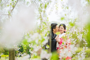 Pre-wedding Kyoto Cherry Blossom