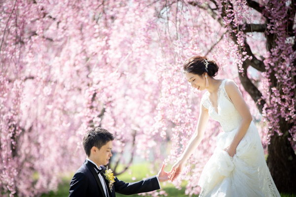 https://kokorography.com/wp-content/uploads/2019/03/kokorography_vacationphoto_cherryblossoms_japan_masaki_009.jpg